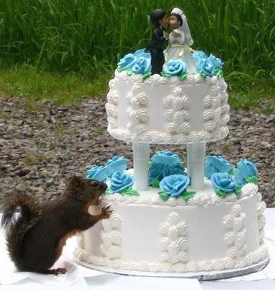 wedding cake